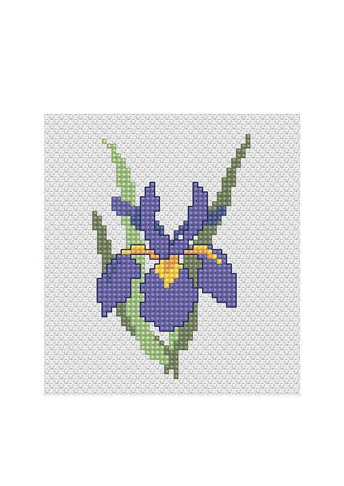 Iris B021L Counted Cross-Stitch Kit with Aida canvas, Anchor threads, needle, and instructions, showcasing vibrant colors and compact size.